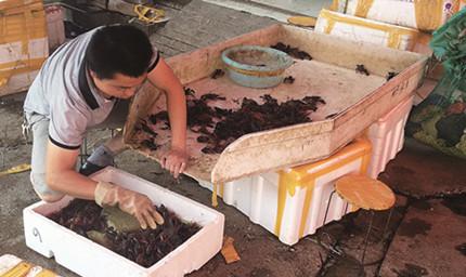 媒体:北京1元特价小龙虾多为死虾制成