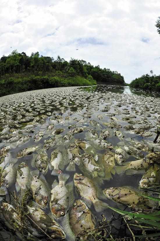 山区流水养殖鱼技术视频 流水养鱼技术（上集）