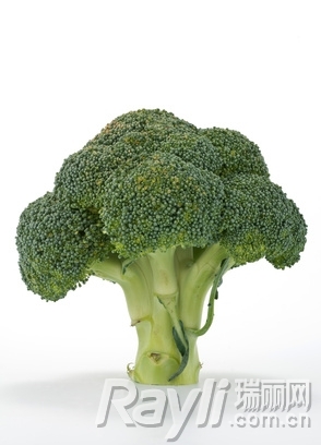 ʮֻ߲