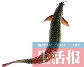 ˮרҲϴԣҩ16꣡