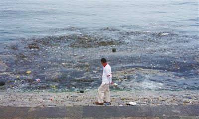 青岛东海路附近海域现大量垃圾