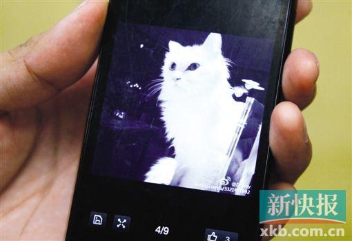 kkұN߬ p߭貣椣1Ӥ()