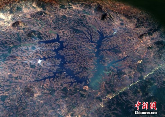 NASA发布巴西世界杯参赛国震撼卫星图