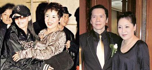 向华强现任妻子是陈岚.