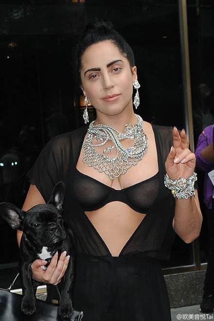 lady gaga犀利造型出街 抱狗买菜被认出(图)