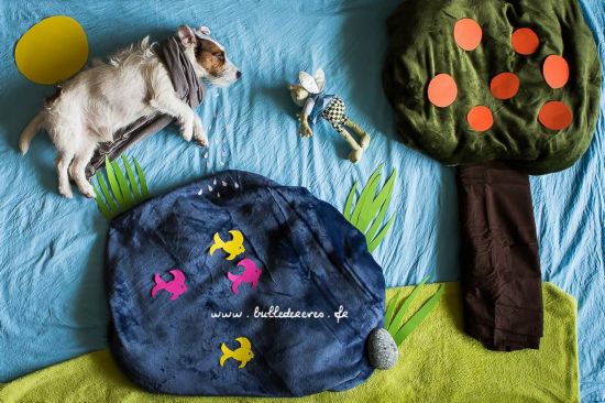 一只狗的奇幻飞行:当超人开飞机玩滑雪