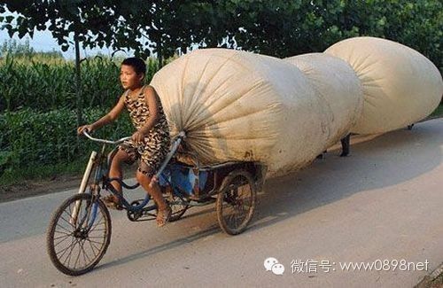 【微专家】高校招生奇招:晒长裙,美女提议将手拍街美女天下图片