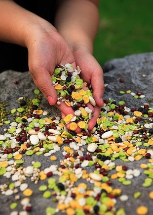 夏日养生:一白遮百丑 哪些食物能防嗮(组图)