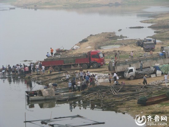 临沂费县上冶水库10万余斤网箱养殖鱼缺氧死