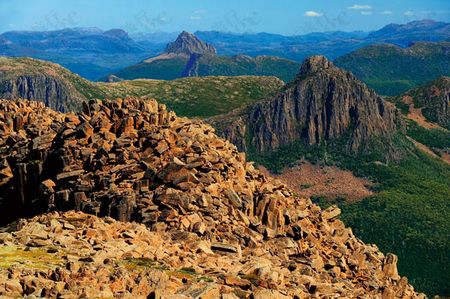 澳为发展商业伐木 申请退出部分遗产名录