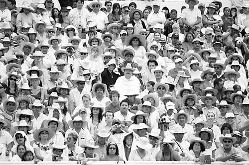 基因差异 墨西哥人具有惊人遗传多样性