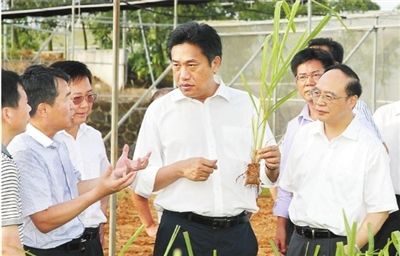 邓海光:依托科研优势推动农业加快转型--地方领导--人民网
