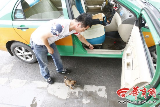 �˿ͽ�С�����ڳ��⳵ �ĸ�����ȳ���Ӫ����