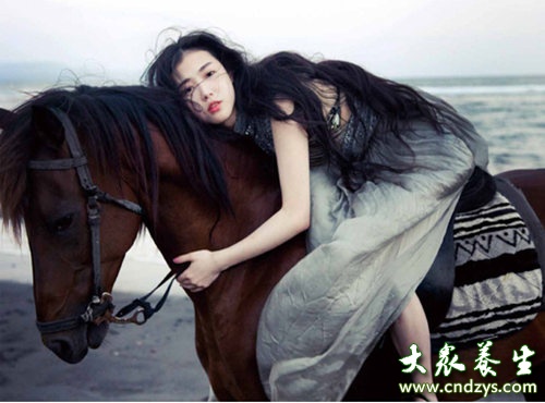 ������ʮ����������(3)