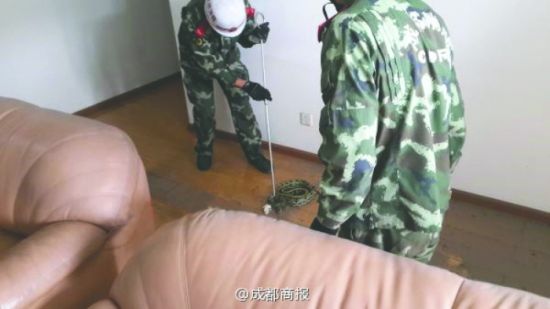 Ա
