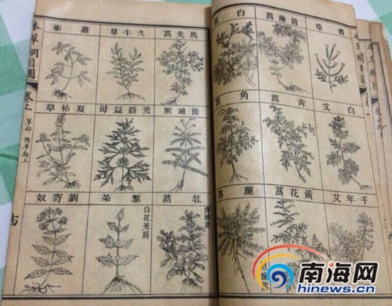 民国十五年上海商务印书馆第八版石印本的《增广本草纲目》。南海网记者陈望 摄
