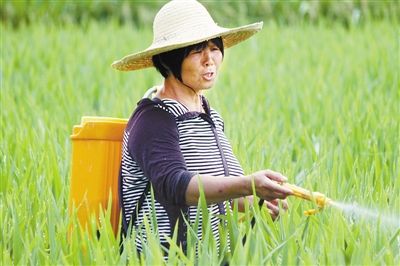 长汀县粮食直属库_长汀县地图_长汀县河田
