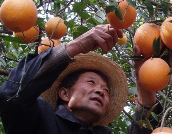 Nature works its magic in Chongqing