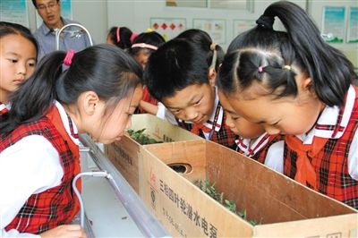 太空种子我来种植