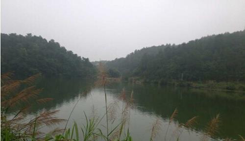 衡阳花桥定位老人服务 引资打造生态农业养老