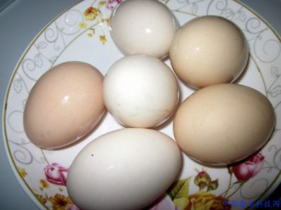 Ӫʦ
