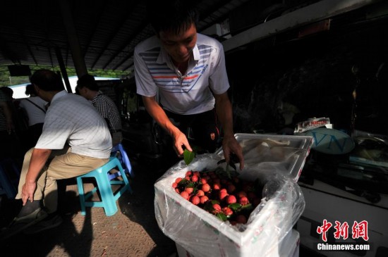 越南荔枝出口中国 与中国所产荔枝成熟期重叠