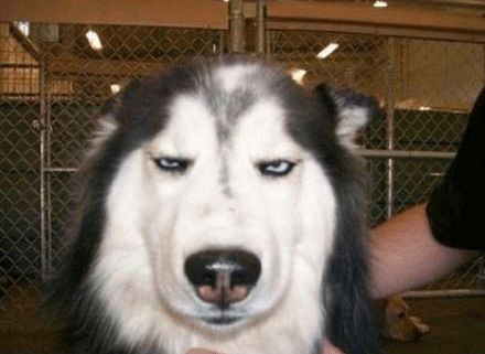 【微天下】上海地铁色狼遭人肉自首 网曝某天