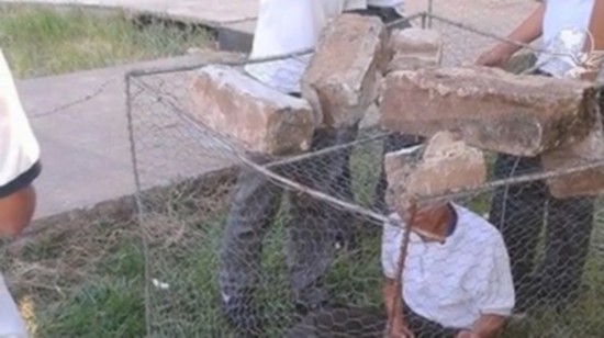 墨西哥中学生围殴智障同学将其锁笼内 校园暴