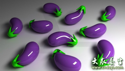 �ճ��سԵľ��ַ����߲�(1)