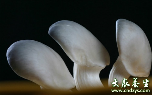 �ճ��سԵľ��ַ����߲�(9)