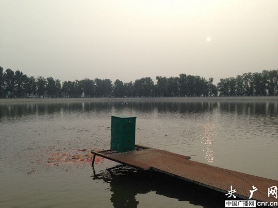 村支书顶风自建小皇宫 带护城河