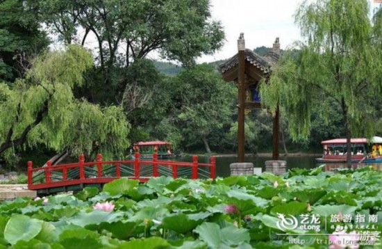 夏天去哪里旅游凉快?盘点国内20℃的旅游好地