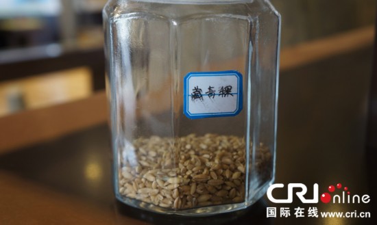 走进拉萨市净土健康产业示范区(高清组图)