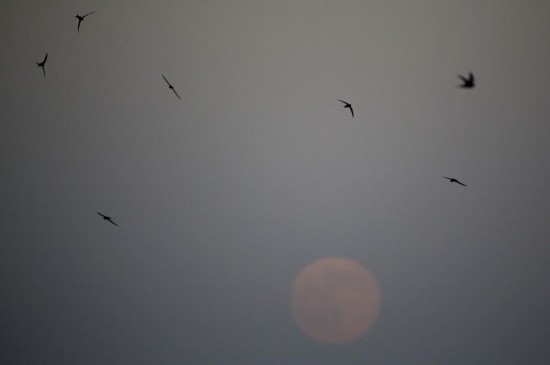 A full moon is seen in the sky over Beijing, capital of China, July 12, 2014. The scientific term for the phenomenon is perigee moon, but it is also known as a 'super moon'.