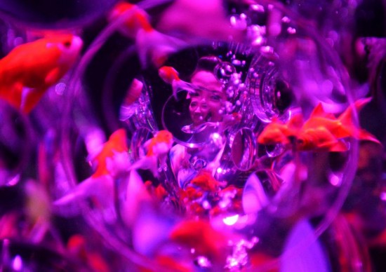 Goldfishes swim in awater tank during a press preview of the exhibition 'Eco EdoNihombashi Art Aquarium 2014' in Tokyo, Japan, July 10, 2014. The exhibition was opened to the public from July 11 to September 23.(Xinhua/Stringer) 