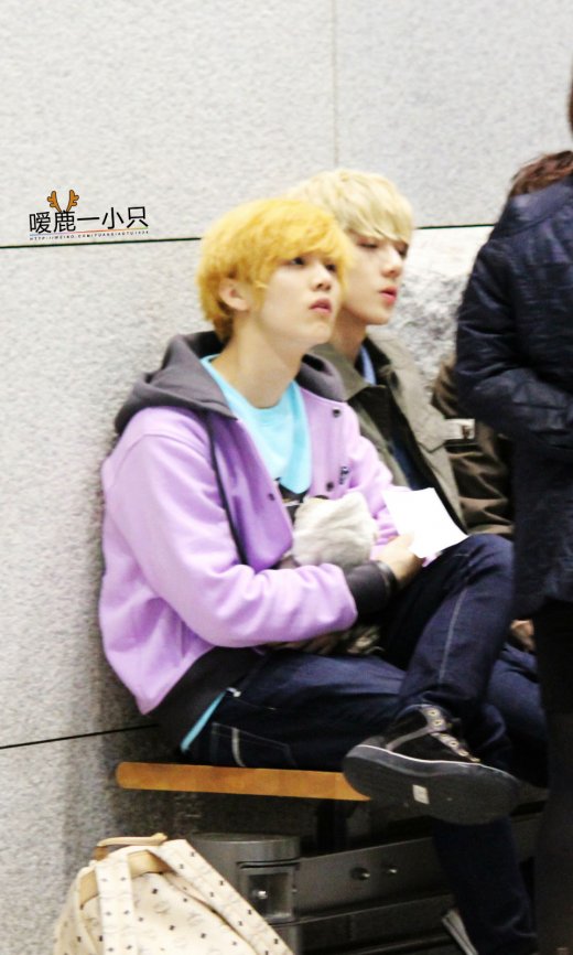 exo魅力值爆表:吴亦凡帅瞎眼 鹿晗天然萌(组图