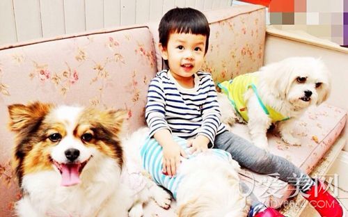  Ҧ��ɹС������Ӱ �Ƕ����������� 