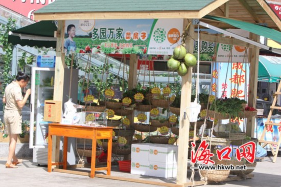 海口无人菜摊升级“小木屋”。
