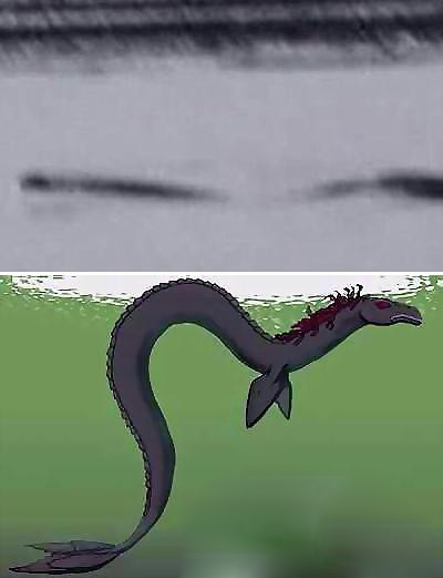 2376470344269738986.jpg