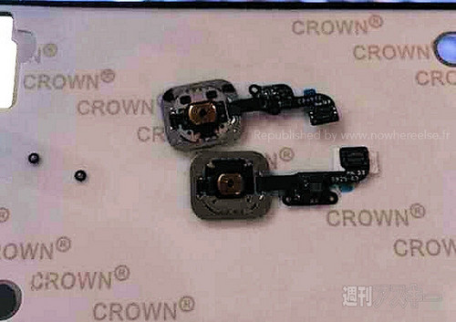 Ϊ iPhone 6ָʶع 