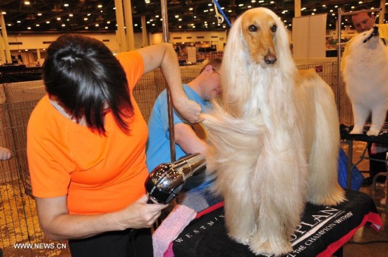 U.S.-HOUSTON-DOG SHOWS