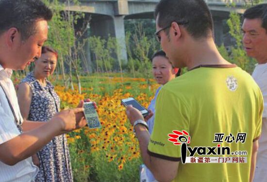 来乌鲁木齐小绿谷扫一扫就能识植物