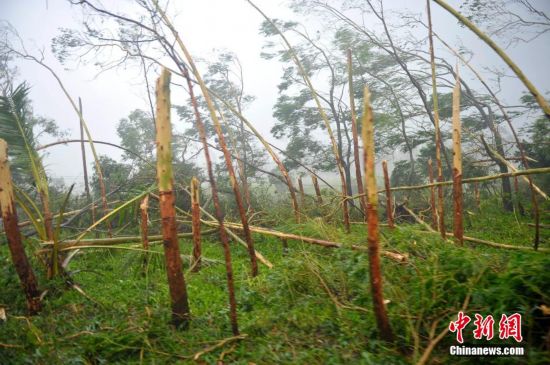 超强台风威马逊登陆海南 最大风力17级