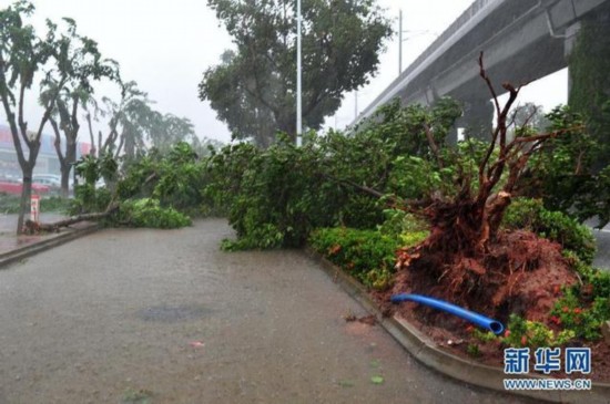 17级强台风 威马逊 袭击华南 1人遇难4人失踪