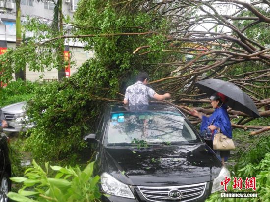 组图:威马逊来袭 广西广东海南多地受重创