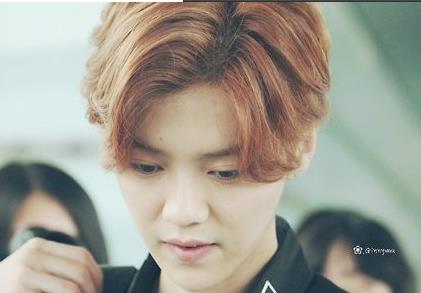 exo鹿晗陷整容门 快乐大本营圆圆脸销声匿迹