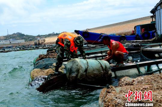 福建提升防台风级别 启动Ⅱ级应急响应