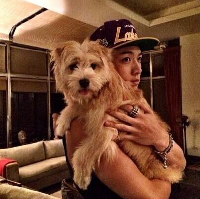 萧亚轩晒柯震东收养流浪狗照 被质疑还在一起