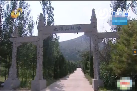 济南市民买墓地买到公益墓地 杂草多老鼠窜无