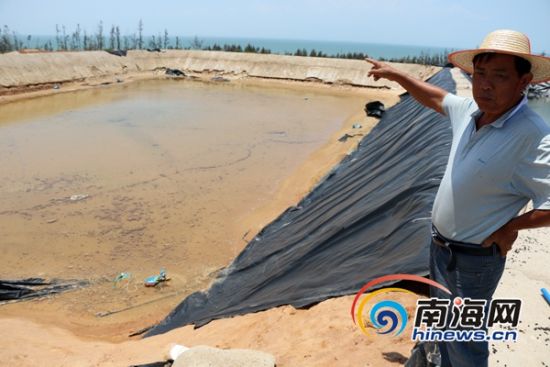 文昌林梧村种植业养殖业遭灭顶之灾盼外界关注